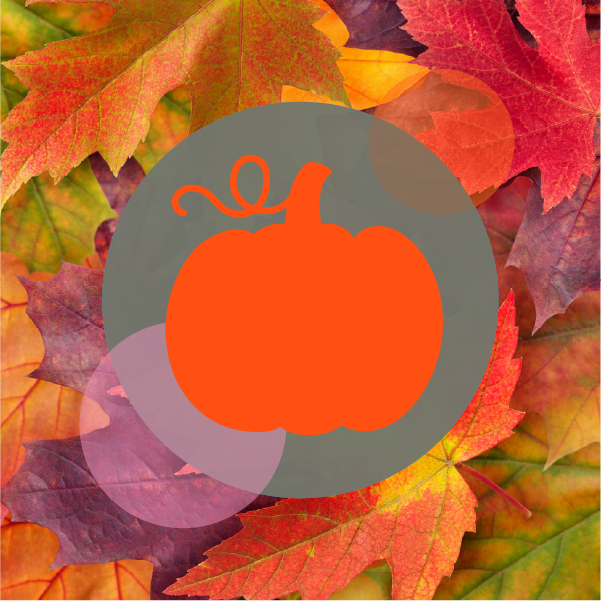 tsf_herbstferien_26